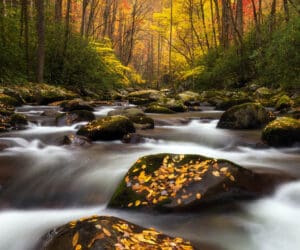 نکات مهم برای ثبت عکس‌های پاییزی(بخش دوم)